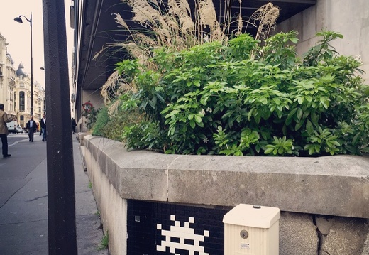 Space Invader PA_1177