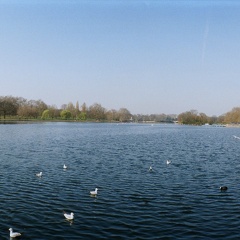 Hyde Park