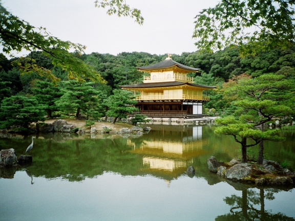 Kinkaku ji
