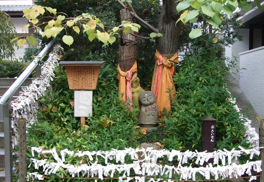 Kyoto