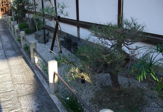 DSCF0314.JPG