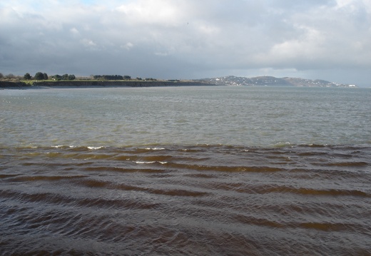 DSC03284.JPG
