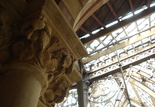 Muséeum d’Histoire Naturelle