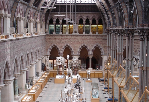 Muséeum d’Histoire Naturelle