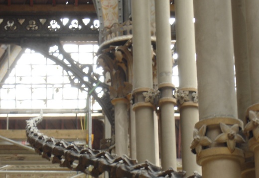 Muséeum d’Histoire Naturelle
