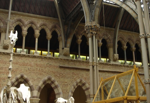 Muséeum d’Histoire Naturelle