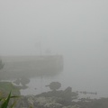 La visite de Dingle commence dans le brouillard