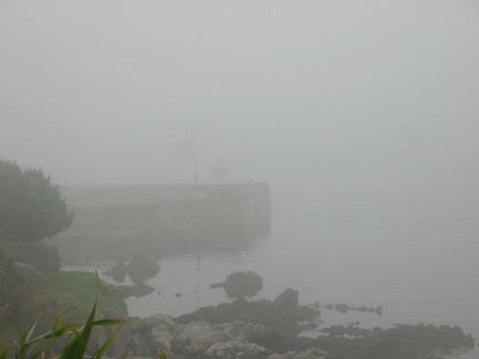 La visite de Dingle commence dans le brouillard