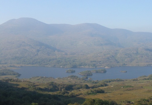 Ladies's view