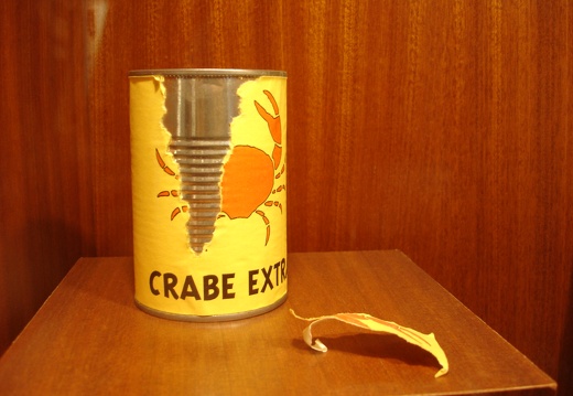 Le crabe aux pinces d'or