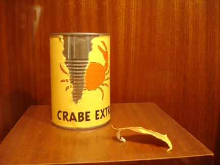 Le crabe aux pinces d'or
