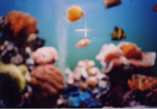 Aquarium