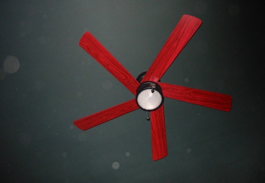 Dimanche en famille entre amis