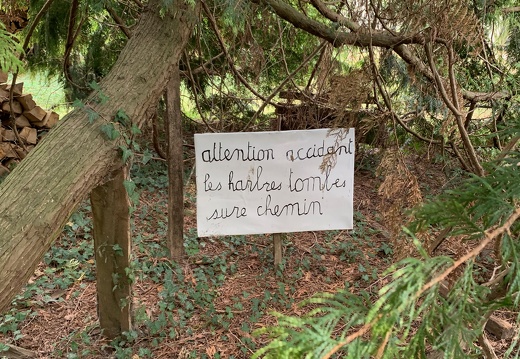 Le manége de Petit Pierre