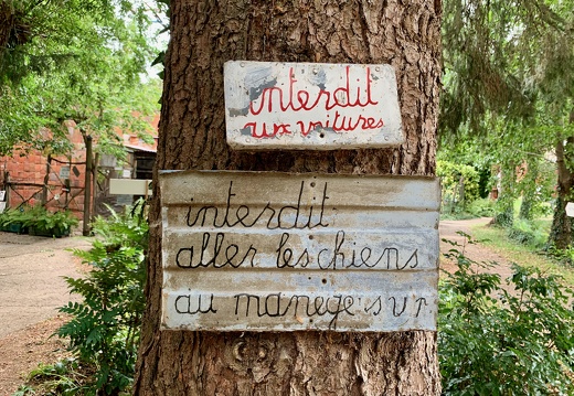 Le manége de Petit Pierre