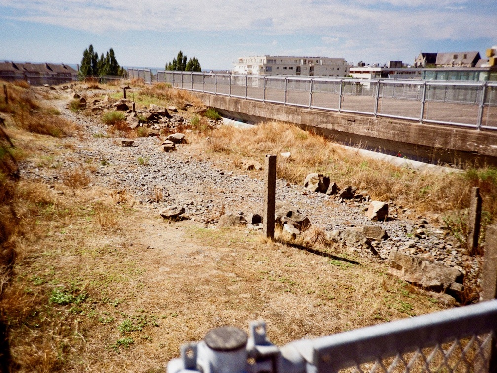 Un jardin sur le toit de la base sous-marine, Bassin de St Nazaire