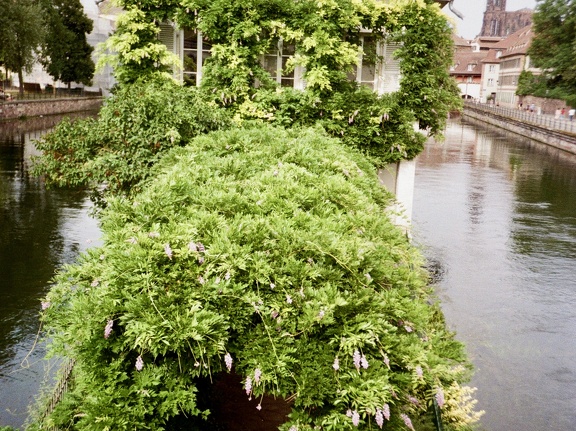 Maison des Ponts Couverts, Strasbourg