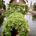 Maison des Ponts Couverts, Strasbourg