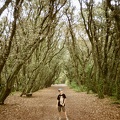 Parc de Penn Avel, Le Croisic
