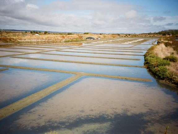 Marais-salants au Croisic