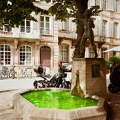 Fontaine Saint Etienne