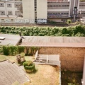 Vue