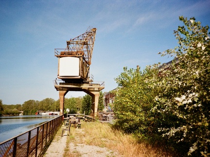 Grue au Phare Citadelle