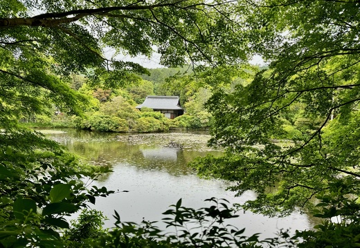 Ryoan-ji