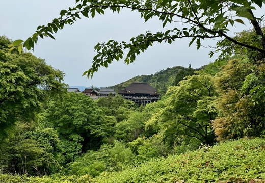 Kiyomizu-dera