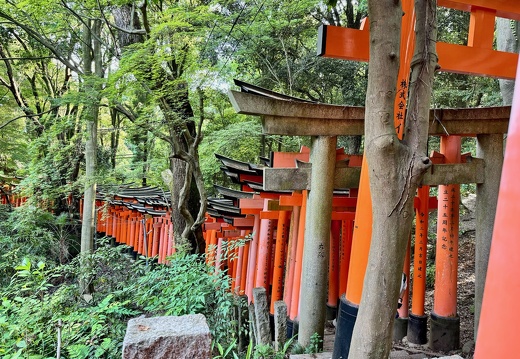 Fushimi Inari Taisha Sembon Torii
