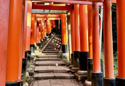 Fushimi Inari Taisha Sembon Torii