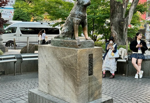 Hachiko