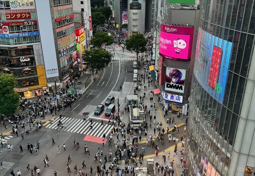 Shibuya Crossing