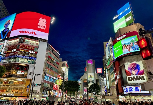 Shibuya Crossing