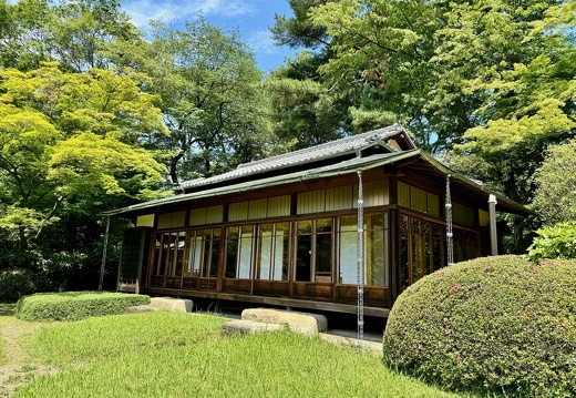 Meiji-jingū