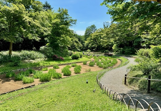 Meiji-jingū