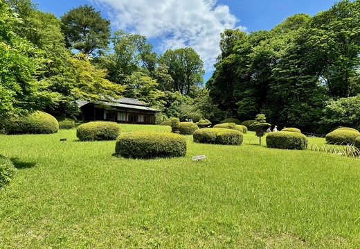 Meiji-jingū