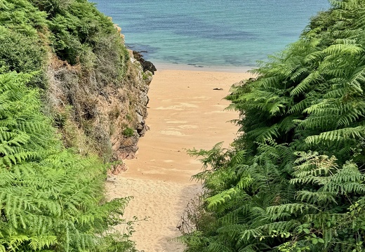 Quiberon 2024