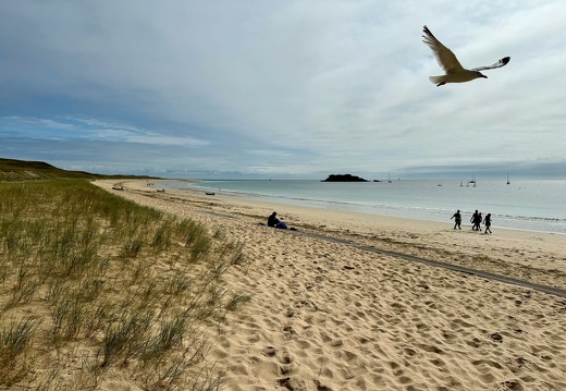Quiberon 2024