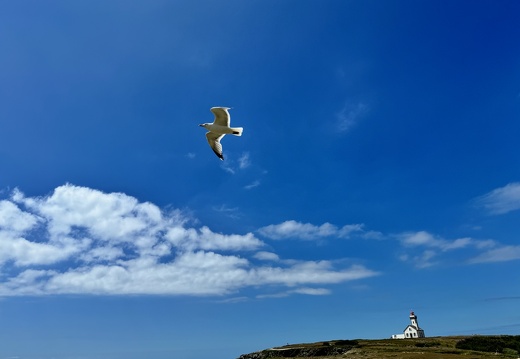 Quiberon 2024
