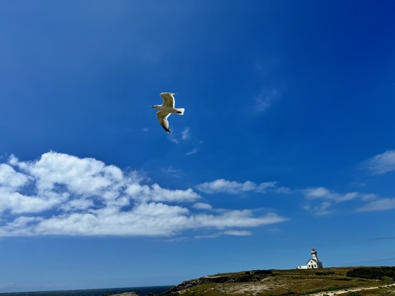 Quiberon 2024