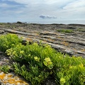 Quiberon 2024