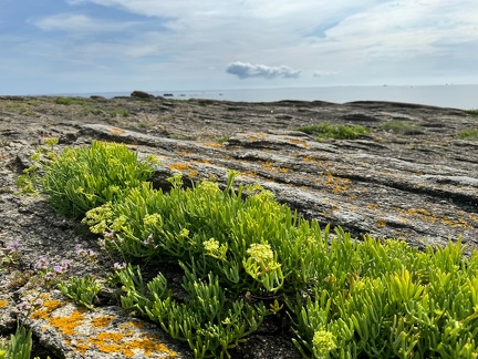 Quiberon 2024