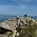 Quiberon 2024